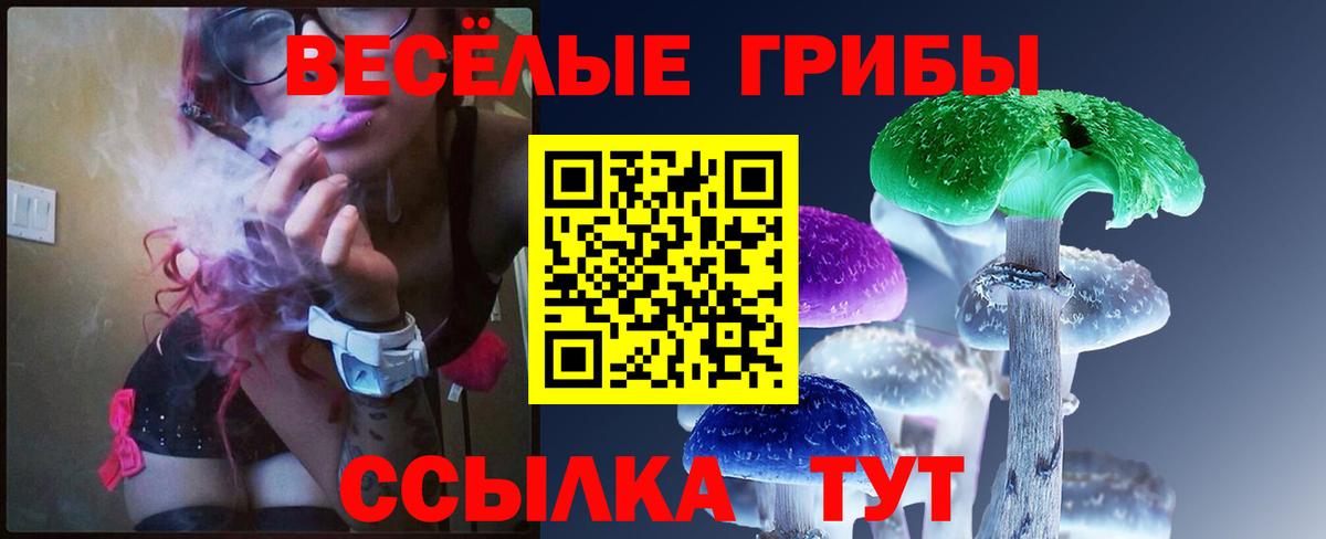 Псилоцибиновые грибы Psilocybe  Псилоцибиновые грибы Psilocybe  Воркута  закладки  Вход с VPN 